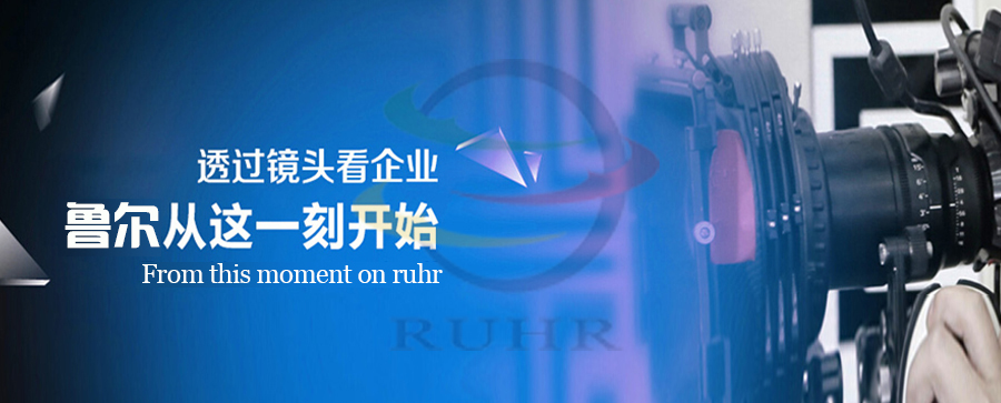 鲁尔成长历程
